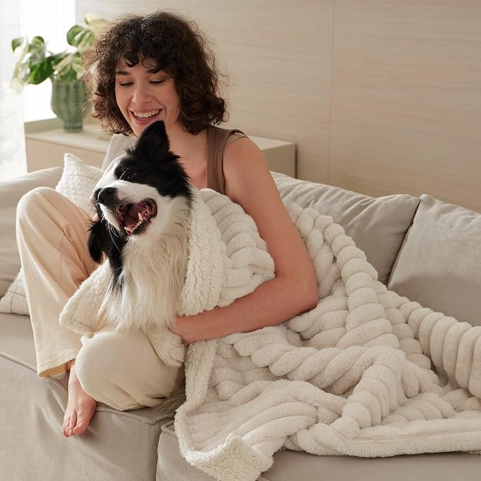 Pet Blanket