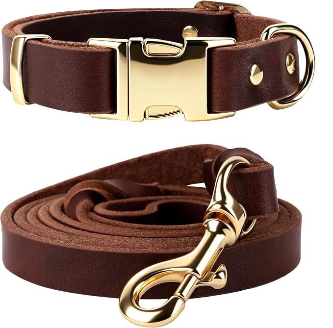 Leash & Collar Set - Image 3