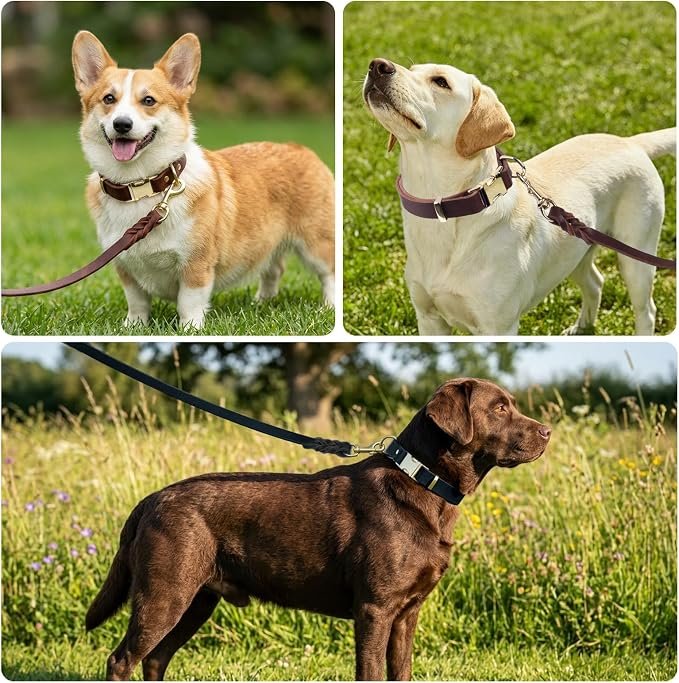 Leash & Collar Set - Image 2