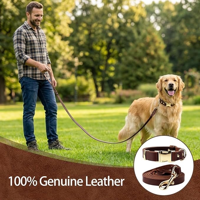 Leash & Collar Set
