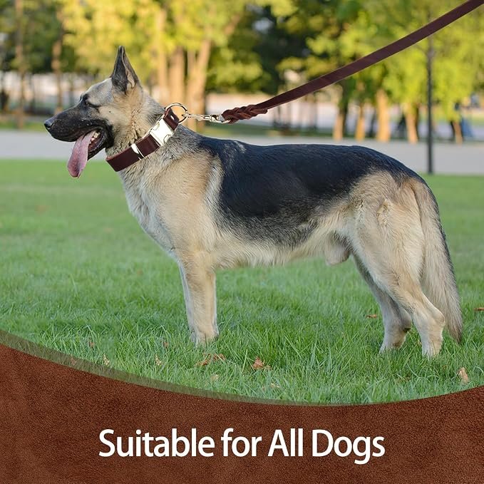 Leash & Collar Set - Image 4