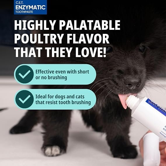 Pet Toothbrush Kit