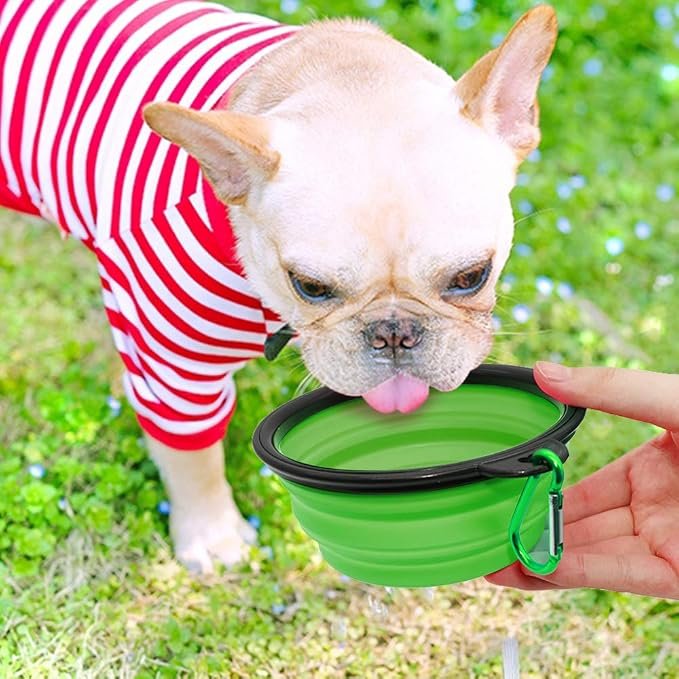 Pet Travel Bowl