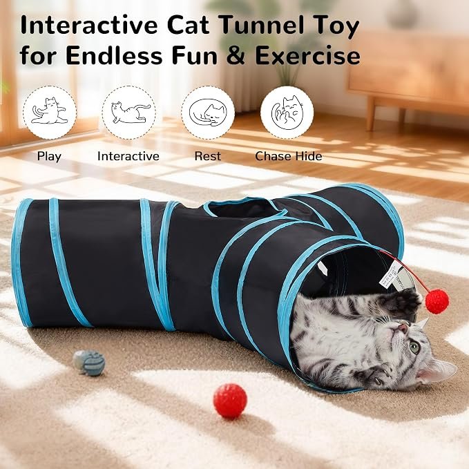 Cat Tunnel